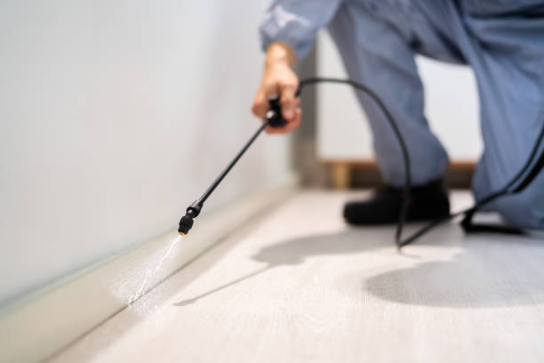 Licensed Bed Bug Control service in Blue Mountain, MS - Nex Pest Control