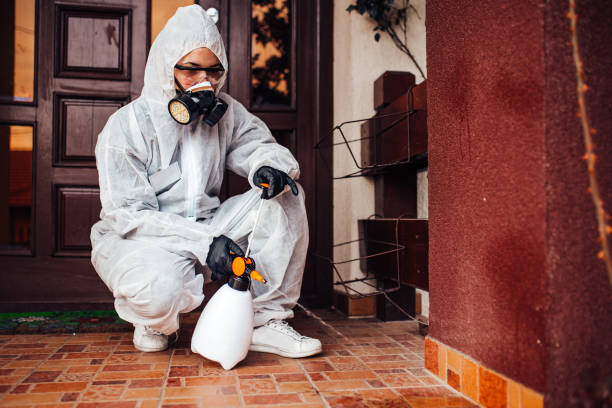 Reliable Bed Bug Control contractor in Blue Mountain, MS by Nex Pest Control